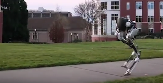 robot dostarczy pizze